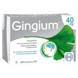 GINGIUM 40 mg film-coated tablets, 120 pcs
