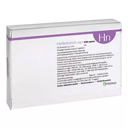 HELLEBORUS NIGER D 30 aquos.ampoules, 50 pcs