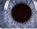 Instructions for use for Systane gel drops moistening drops for the eyes, 10 ml - 9