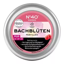 ENERGIE BACHBLÜTENPASTILLEN according to Dr.Bach, 50 g