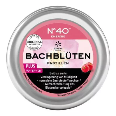 ENERGIE BACHBLÜTENPASTILLEN according to Dr.Bach, 50 g ENERGIE BACHBLÜTENPASTILLEN according to Dr.Bach, 50 g