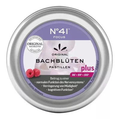 KONZENTRATION Bach Flower Pastilles according to Dr.Bach, 50 g KONZENTRATION Bach Flower Pastilles according to Dr.Bach, 50 g