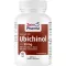 UBICHINOL COQ 10 capsules 50 mg, 60 pcs
