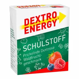 DEXTRO ENERGY School Material Forest Fruit Tablets, 50 g