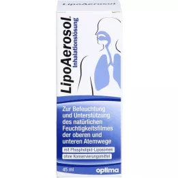 LIPOAEROSOL liposomal inhalation solution, 45 ml