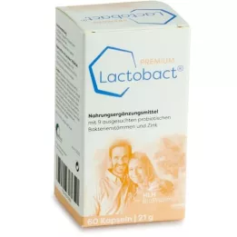 LACTOBACT PREMIUM enteric-coated capsules, 60 pcs