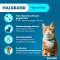 SERESTO Collar f.cats, 1 pc