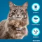 SERESTO Collar f.cats, 1 pc