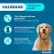 Seresto collar for large dogs over 8 kg, 1 piece