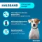 SERESTO 1.25g + 0.56g Collar for dogs up to 8kg, 1 pc