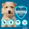 SERESTO 1.25g + 0.56g Collar for dogs up to 8kg, 1 pc
