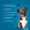 SERESTO 1.25g + 0.56g Collar for dogs up to 8kg, 1 pc