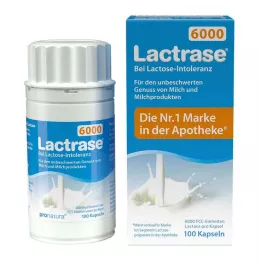 LACTRASE 6,000 FCC Capsules, 100 pcs