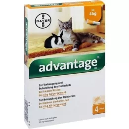 ADVANTAGE 40 mg solution for small cats/ small pet rabbits, 4X0.4 ml