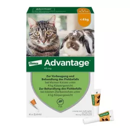 ADVANTAGE 40 mg solution for small cats/ small pet rabbits, 4X0.4 ml