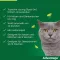 ADVANTAGE 40 mg solution for small cats/ small pet rabbits, 4X0.4 ml