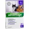 ADVANTAGE 80 mg for large cats and rabbits, 4X0.8 ml