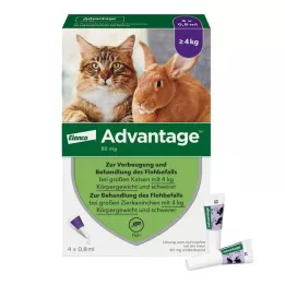 ADVANTAGE 80 mg for large cats and rabbits, 4X0.8 ml