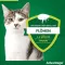 ADVANTAGE 80 mg for large cats and rabbits, 4X0.8 ml