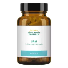 SAM S-ADENOSYLMETHIONIN Capsules, 60 pcs