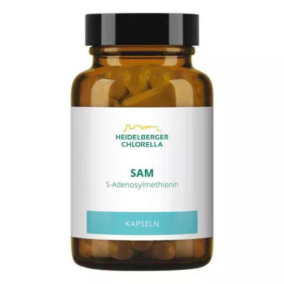 SAM S-ADENOSYLMETHIONIN Capsules, 60 pcs