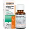 PELARGONIUM-RATIOPHARM Bronchial drops, 20 ml