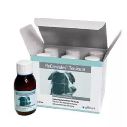 Reconvales Tonic for Dogs, 6X90 ml