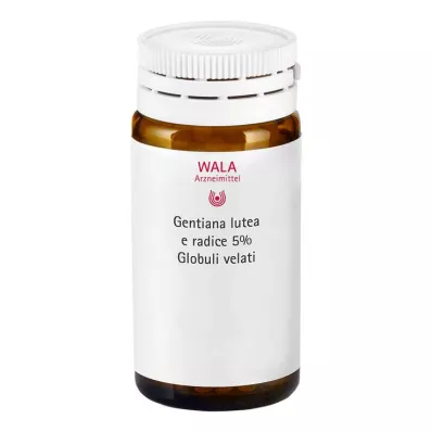 GENTIANA LUTEA 5% mother tincture globuli velati, 20 g GENTIANA LUTEA 5% mother tincture globuli velati, 20 g