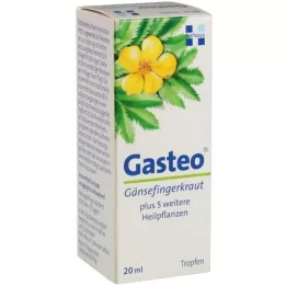 GASTEO Oral drops, 20 ml
