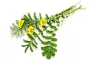 Instructions for use for GASTEO Drops for gastrointestinal complaints, 50 ml - 8