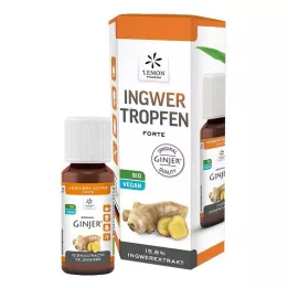 INGWER GINJER forte drops, 20 ml