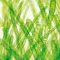 DHA-EPA-Algae oil Dr.Jacobs capsules, 60 pcs