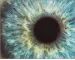 Instructions for use for Systane Hydration eye drops, 10 ml - 9