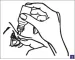 Instructions for use for Systane Hydration eye drops, 3x10 ml - 6