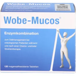 WOBE-MUCOS enteric-coated tablets, 120 pcs
