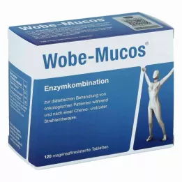 WOBE-MUCOS enteric-coated tablets, 120 pcs