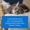 TRAUMEEL LT ad us.vet.ampoules, 50X5 ml