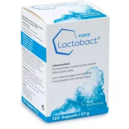 LACTOBACT Forte enteric-coated capsules, 120 pcs