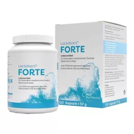 LACTOBACT Forte enteric-coated capsules, 120 pcs