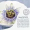 Free oil hydrolipid night care passionflower (50 ml)