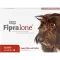 FIPRALONE 134 mg Oral solution for medium-sized dogs, 4 pcs