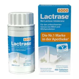 LACTRASE 6,000 FCC Tbl.click dispenser refill, 480 pcs