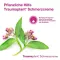 Traumaplant® pain cream, 100 g
