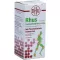 RHUS TOXICODENDRON D 6 Tabl.for rheumatic pain, 80 pcs