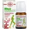 RHUS TOXICODENDRON D 6 Tabl.for rheumatic pain, 80 pcs