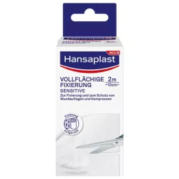 Hansaplast full-surface fixation 10 cmx2 m, 1 piece