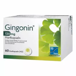 GINGONIN 120 mg hard capsules, 60 pcs