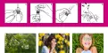 Instructions for use for Vividrin® Azelastine nasal spray acute help for hay fever and allergies, 10 ml - 3