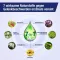 GELENCIUM Mixture, 100 ml