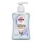 Sagrotan doctors soap for hand hygiene liquid, 250 ml